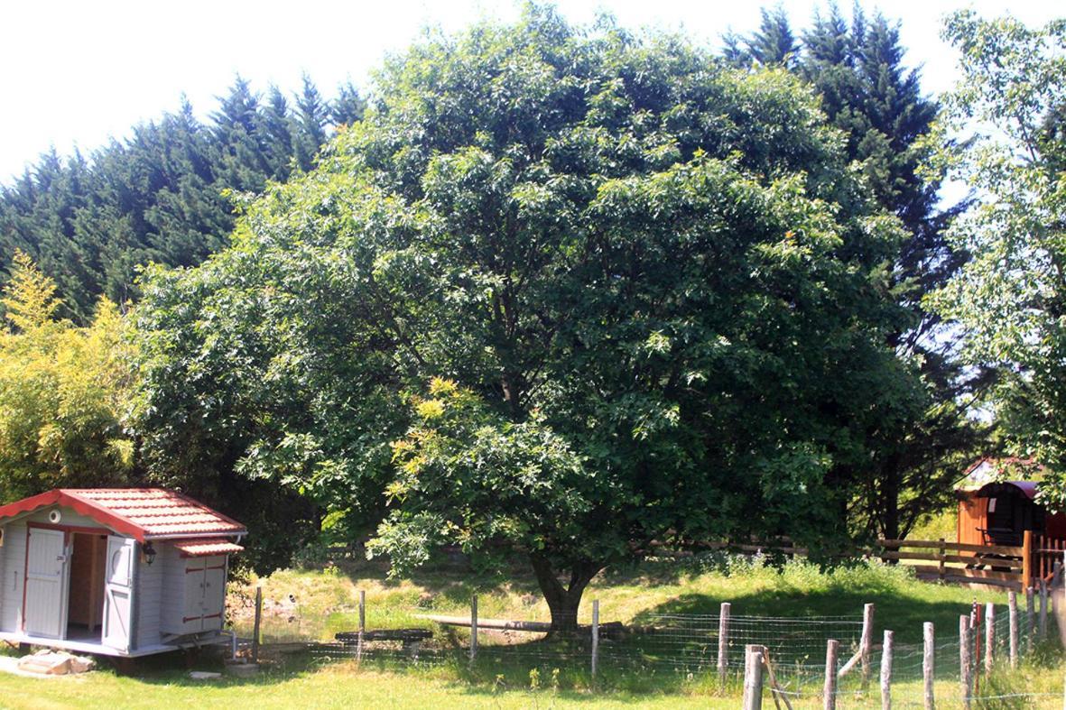 Tente Trappeur Ada, Au Jardin De La Vouivre Saint-Vincent-en-Bresse Extérieur photo