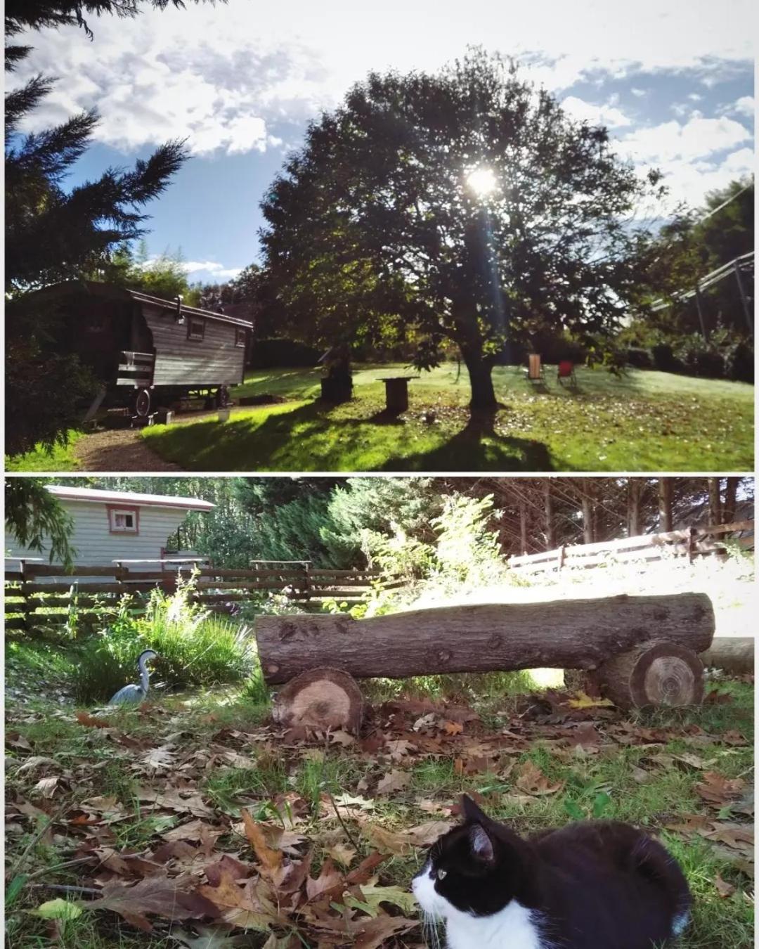 Tente Trappeur Ada, Au Jardin De La Vouivre Saint-Vincent-en-Bresse Extérieur photo