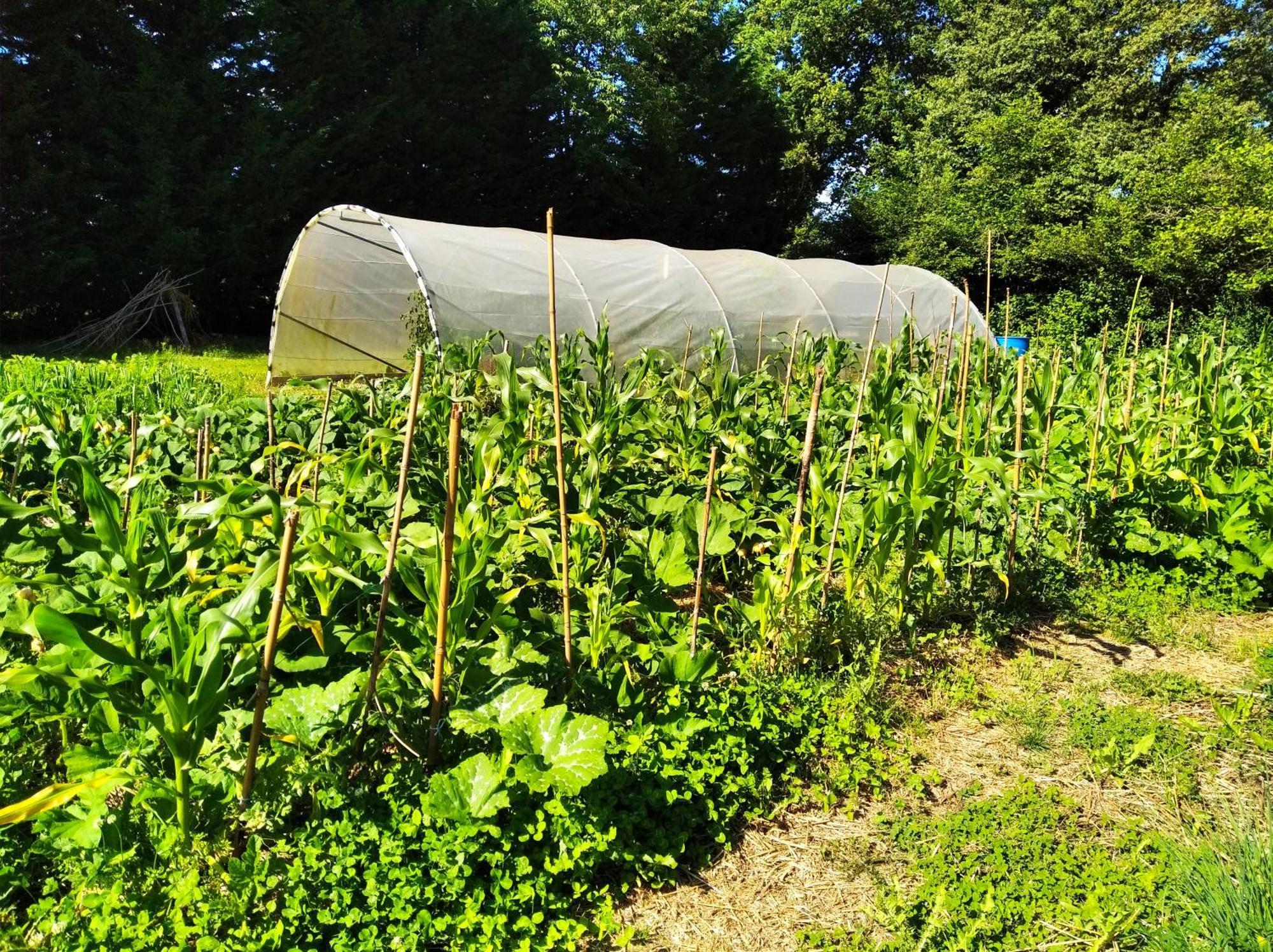 Tente Trappeur Ada, Au Jardin De La Vouivre Saint-Vincent-en-Bresse Extérieur photo