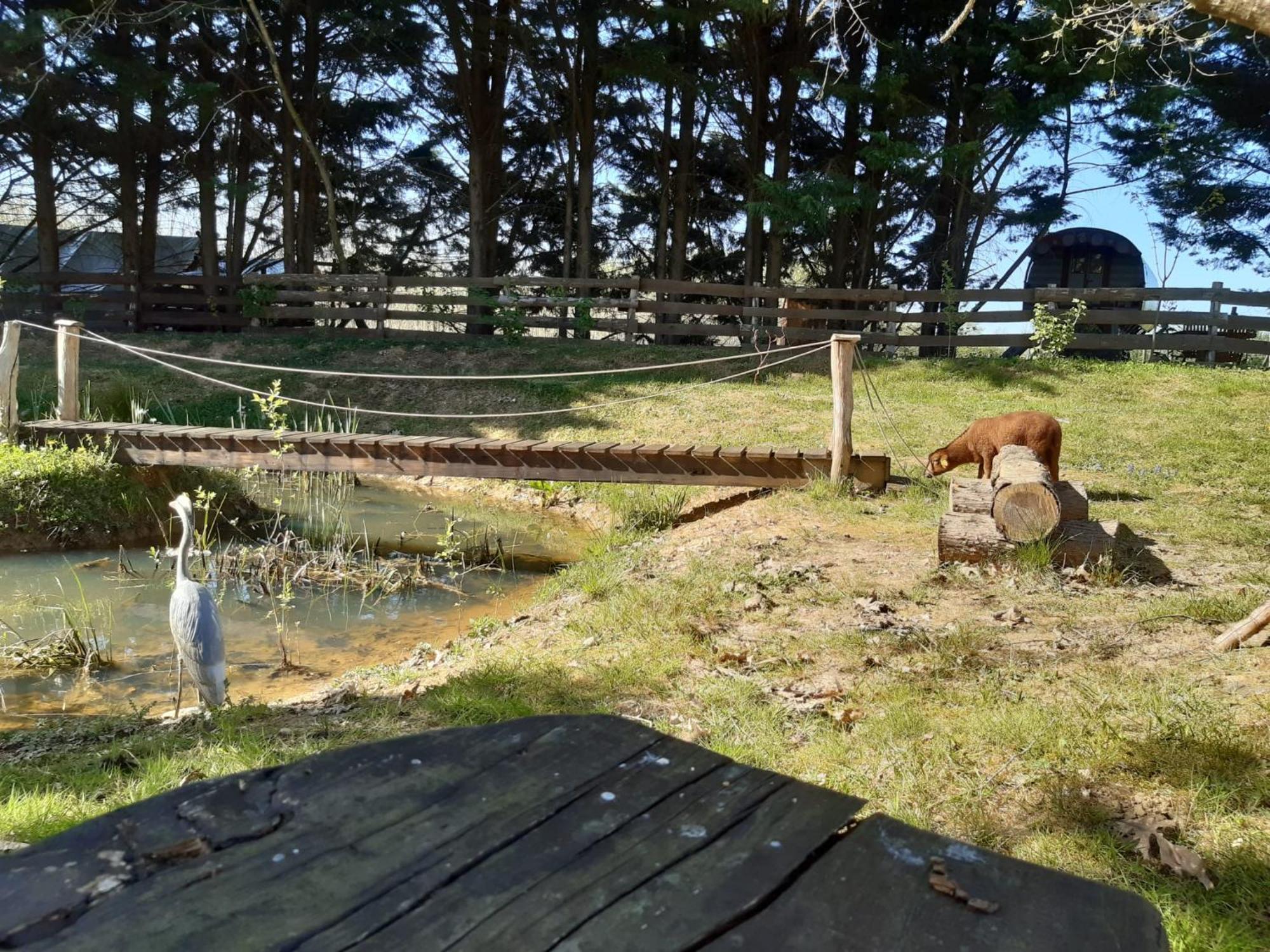 Tente Trappeur Ada, Au Jardin De La Vouivre Saint-Vincent-en-Bresse Extérieur photo